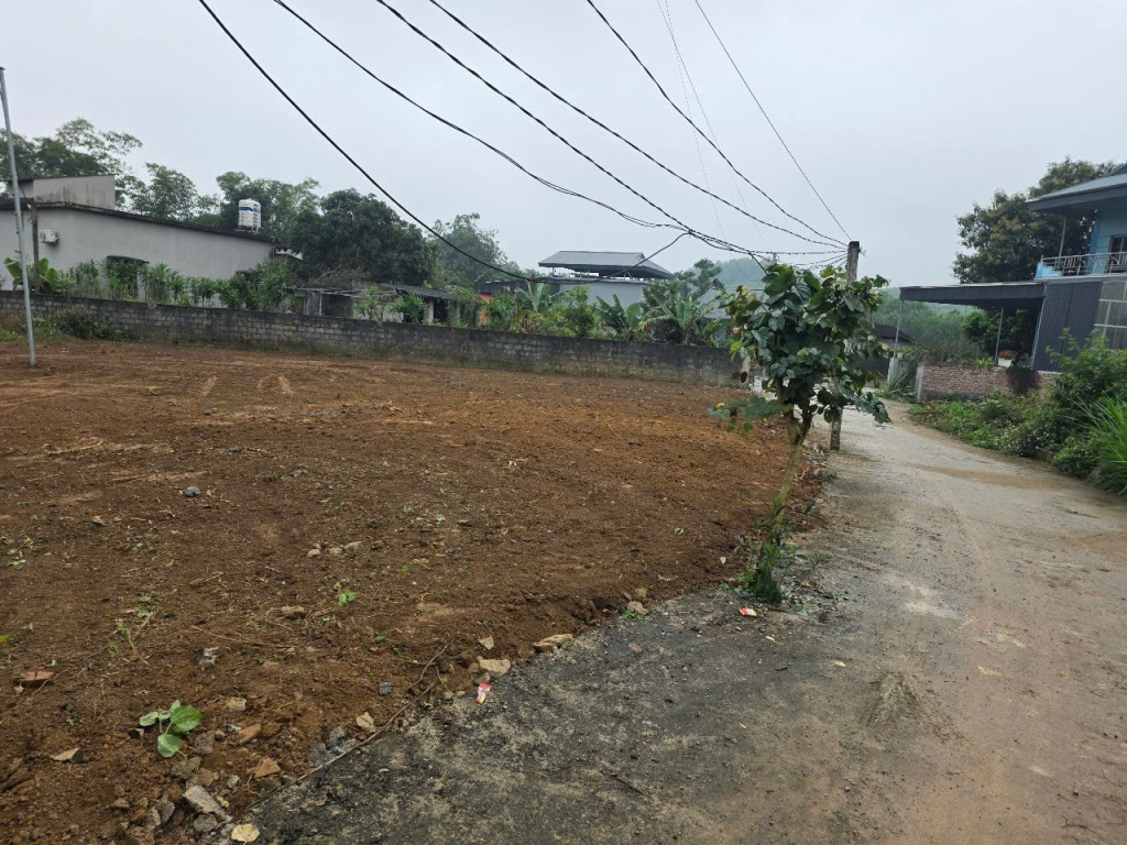 Sở hữu đất sổ hồng trung tâm Ba Hàng Đồi chỉ từ 300 triệu: An cư & đầu tư sinh lời