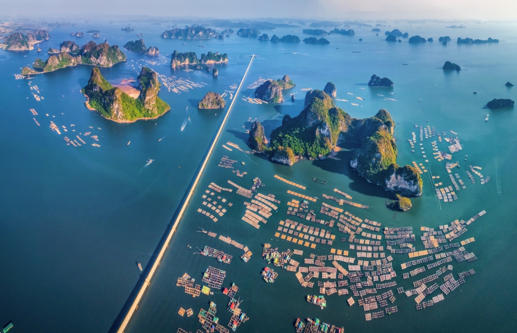 Suite mặt vịnh Bái Tử Long - Đầu tư Vân Đồn, sinh lời vượt trội