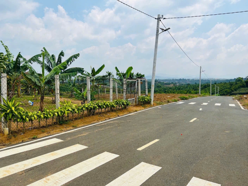 Bán Đất Vàng Bảo Lộc: 200m2 View Đồi Chè, Hồ & Rừng Thông - Trung Tâm 3 Triệu/m2