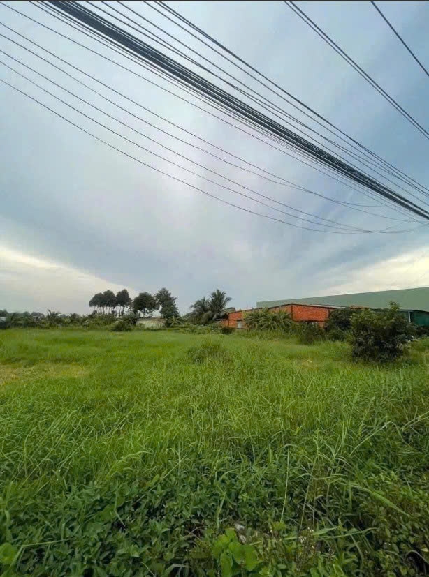 Bán Đất Vàng Mặt Tiền Nguyễn Thông, Châu Thành, Long An - 467m², Giá Tốt